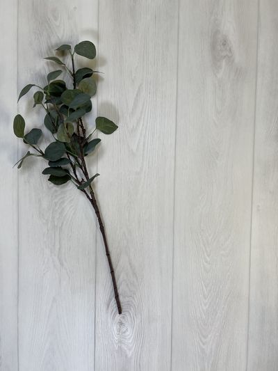 Vinyylilankku SPC+IXPE Projektilattia KL34 5G 106 2.23m2