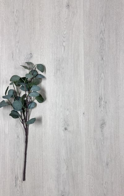 Vinyylilankku SPC+EVA KL33 5619 2.79m2