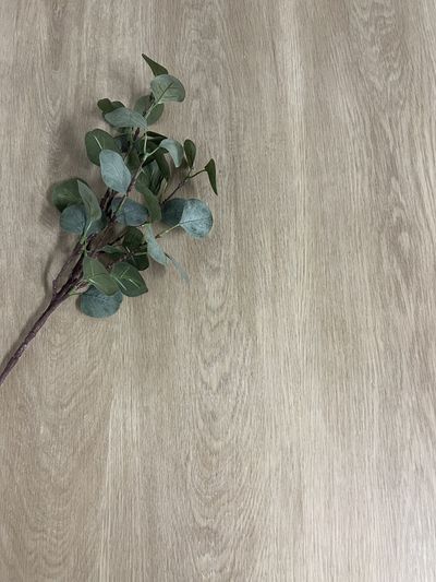 Vinyylilankku SPC+IXPE Projektilattia KL33 5G 8279 2.21m2