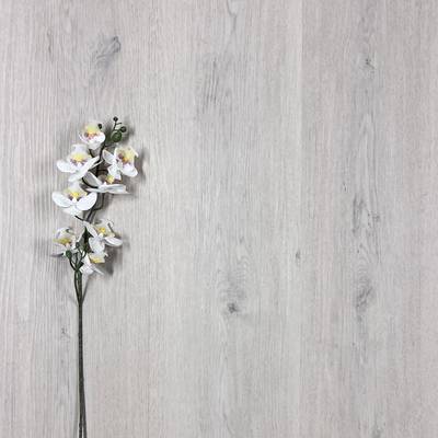 Vinyylilankku SPC+EVA KL33 5619 2.79m2