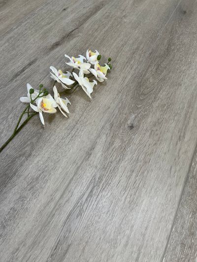 Vinyylilankku SPC+IXPE Projektilattia KL34 5G 105 2.23m2