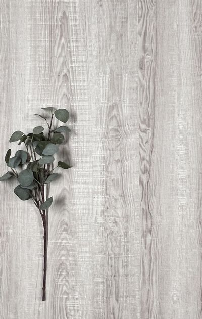 Vinyylilankku SPC+EVA KL33 8413 2.79m2